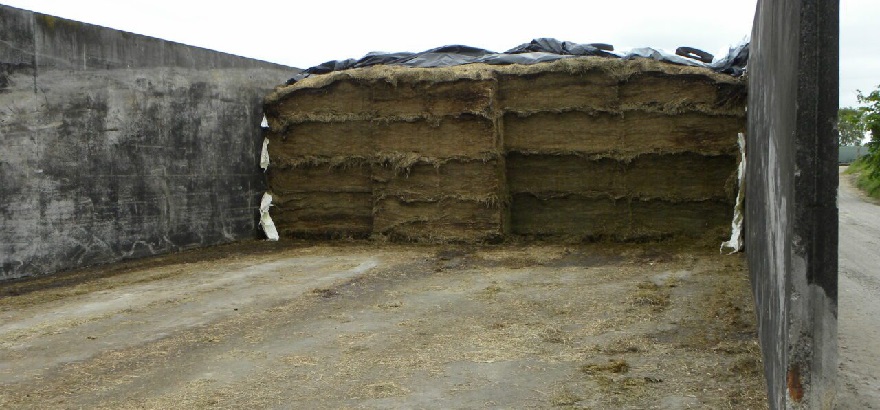 Large Silage Pit